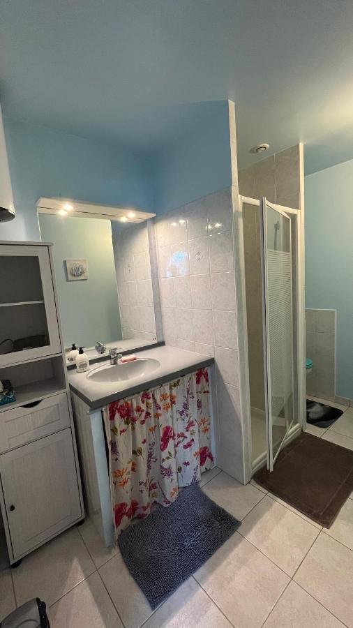 L'Arbre De Vy - T2 42M2 Independant, 5 Pers, Garage, Proche Gare Apartment Le Mans Luaran gambar